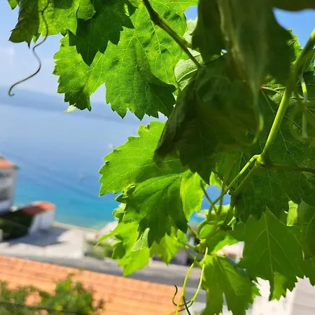 Marli Apartment Jesenice (Split-Dalmatia)