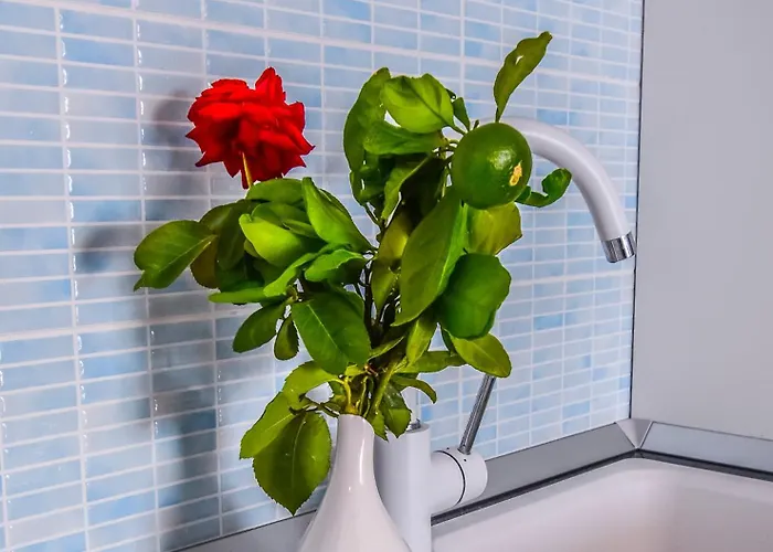 Apartamento Marli